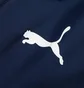 Куртка детская Puma Teamliga All-Weather Youth Blue 657246-06