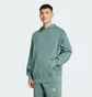 Худи мужское Adidas All Szn Turquoise JN0614