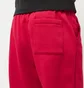 Штаны мужские Air Jordan Essential Fleece Pants Red FV7277-687