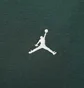 Худі чоловіче Air Jordan Brooklyn Green IB7231-316