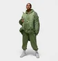 Штаны женские Air Jordan Flight Fleece Jogger Pants Green FB5113-340