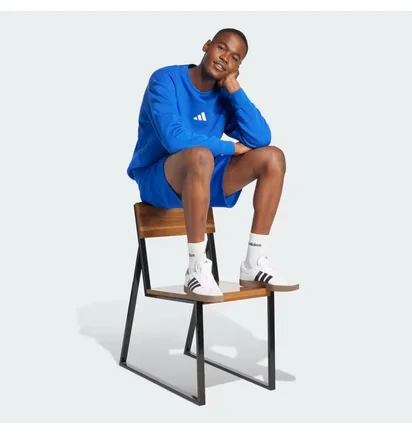 Свитшот мужской Adidas All Szn Fleece Graphic Blue JJ3669