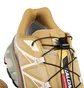 Кроссовки мужские Salomon Xt-6 Antelope/Icicle/Portabella Beige L47581000