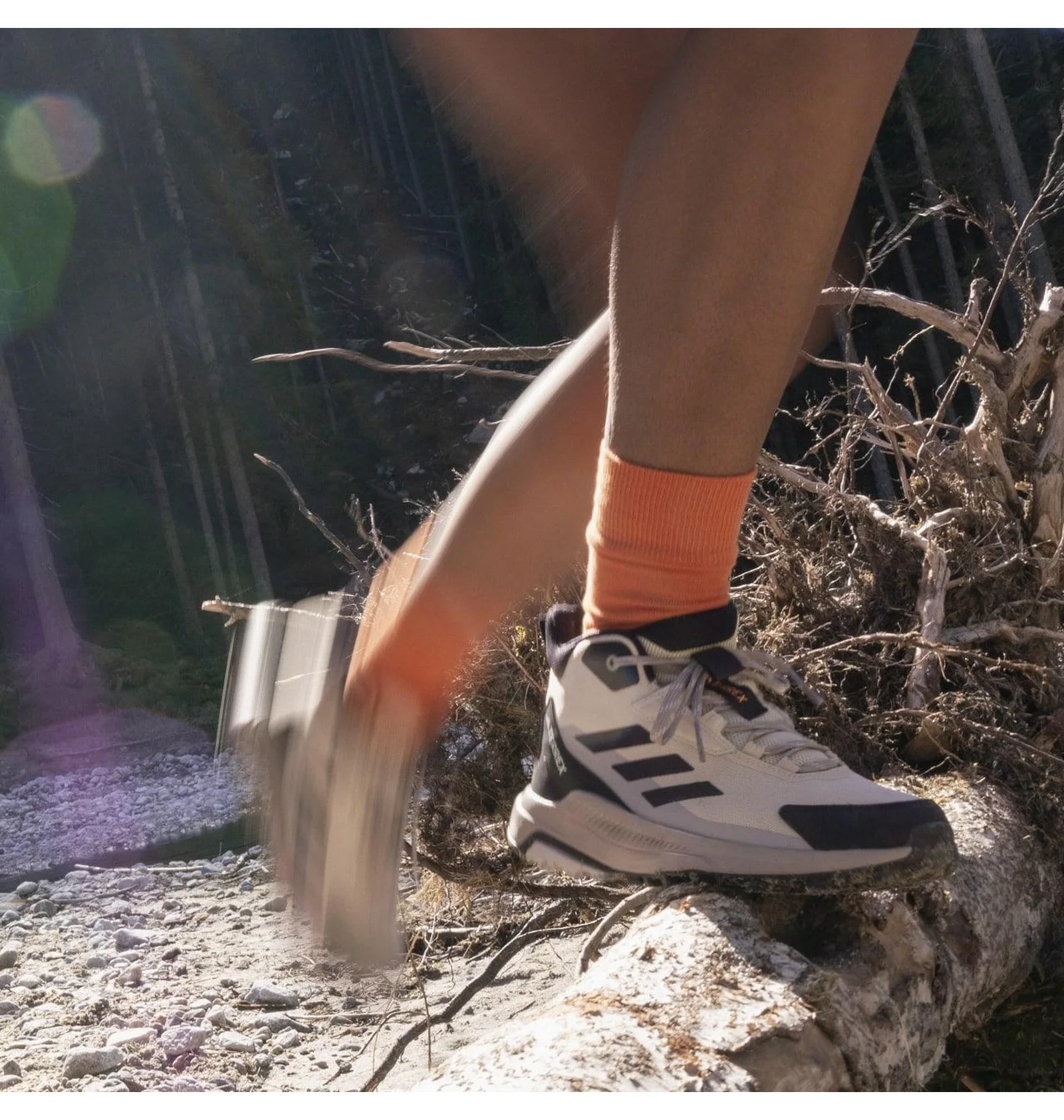 ᐉ Кросівки жіночі Adidas Terrex Anylander Violet IE3889