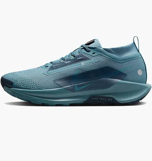 Кроссовки мужские Nike Pegasus Trail 5 Gtx Blue FQ0908-005