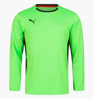 Лонгслів чоловічий Puma V1.08 Green 700466-15