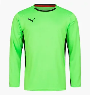 Лонгслив мужской Puma V1.08 Green 700466-15