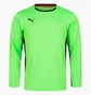 Лонгслив мужской Puma V1.08 Green 700466-15