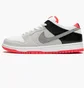 Кросівки жіночі Nike Sb Dunk Low Grey/White CD2563-004