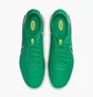 Бутси унісекс Nike Tiempo Legend X Elite Lv8 Fg Green HJ7272-300