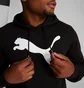 Спортивный костюм мужской Puma Big Cat Logo Hoodie Black 672712-01__586714-01