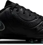 Бутси унісекс Nike Legend 10 Academy Fg/Mg Black DV4337-002