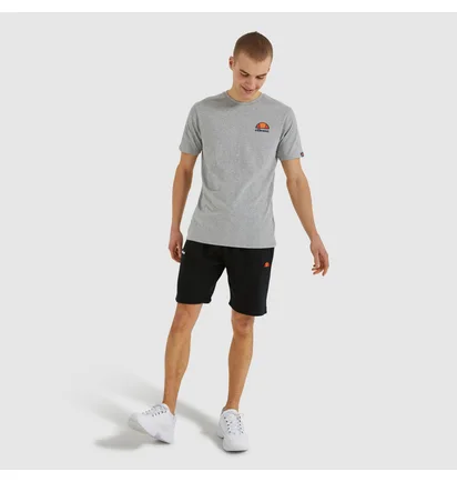 Футболка мужская Ellesse Canaletto Tee Grey SHS04548-112