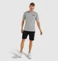 Футболка мужская Ellesse Canaletto Tee Grey SHS04548-112