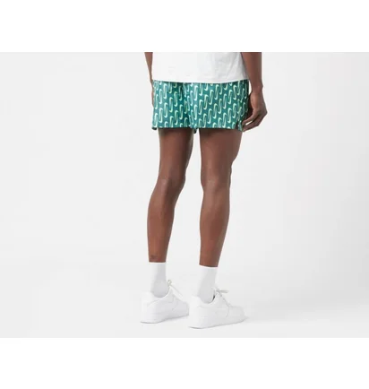 Шорты мужские Nike Swoosh Link 5 & Volley Short Green NESSE520-302