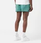 Шорты мужские Nike Swoosh Link 5 & Volley Short Green NESSE520-302