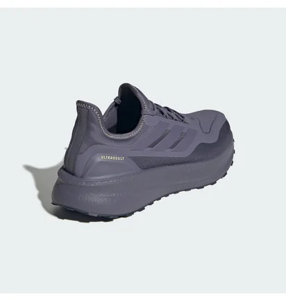 Кросівки чоловічі Adidas Ultraboost Gtx Grey JQ2950