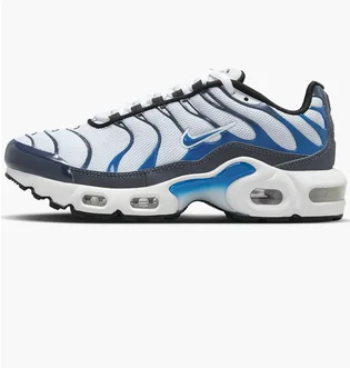 Кроссовки детские Nike Air Max Plus Grey/Blue CD0609-409