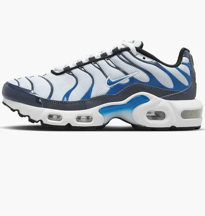 Кросівки дитячі Nike Air Max Plus Grey/Blue CD0609-409