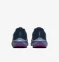 Кросівки чоловічі Nike Pegasus 40 Se Blue FB7180-001