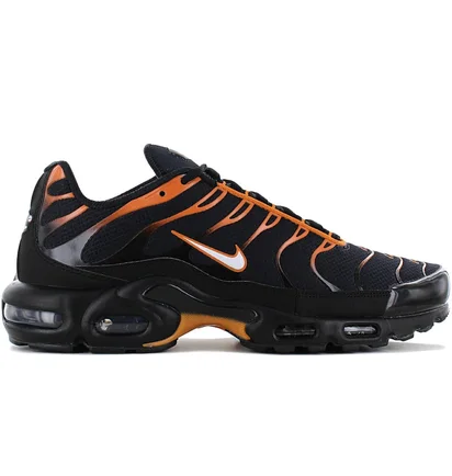 Кросівки чоловічі Nike Air Max Plus Black FN6949-400