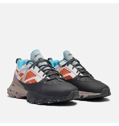 Кроссовки мужские Reebok Dmx Trail Shadow Multi GY5872