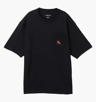 Футболка чоловіча Air Jordan Essentials Black IF3069-010