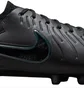 Бутсы унисекс Nike Legend 10 Elite Fg Black DV4328-002