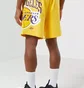 Шорти чоловічі Nike Nba Los Angeles Lakers Courtside Heritage Short Amarillo Field Yellow DB1954-728