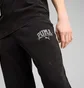 Штаны мужские Puma Class Black 684642-01