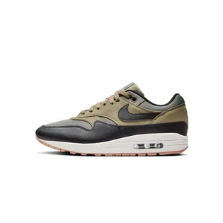 Кросівки чоловічі Nike Air Max 1 Sc Shoes Olive/Black FB9660-003