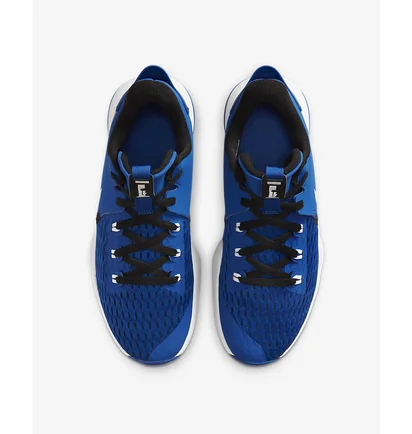 Кроссовки унисекс Nike LEBRON WITNESS V Blue CQ9380-400