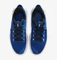 Кроссовки унисекс Nike LEBRON WITNESS V Blue CQ9380-400