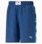 Шорты мужские Puma Bmw M Statement 85 Blue 538401-04