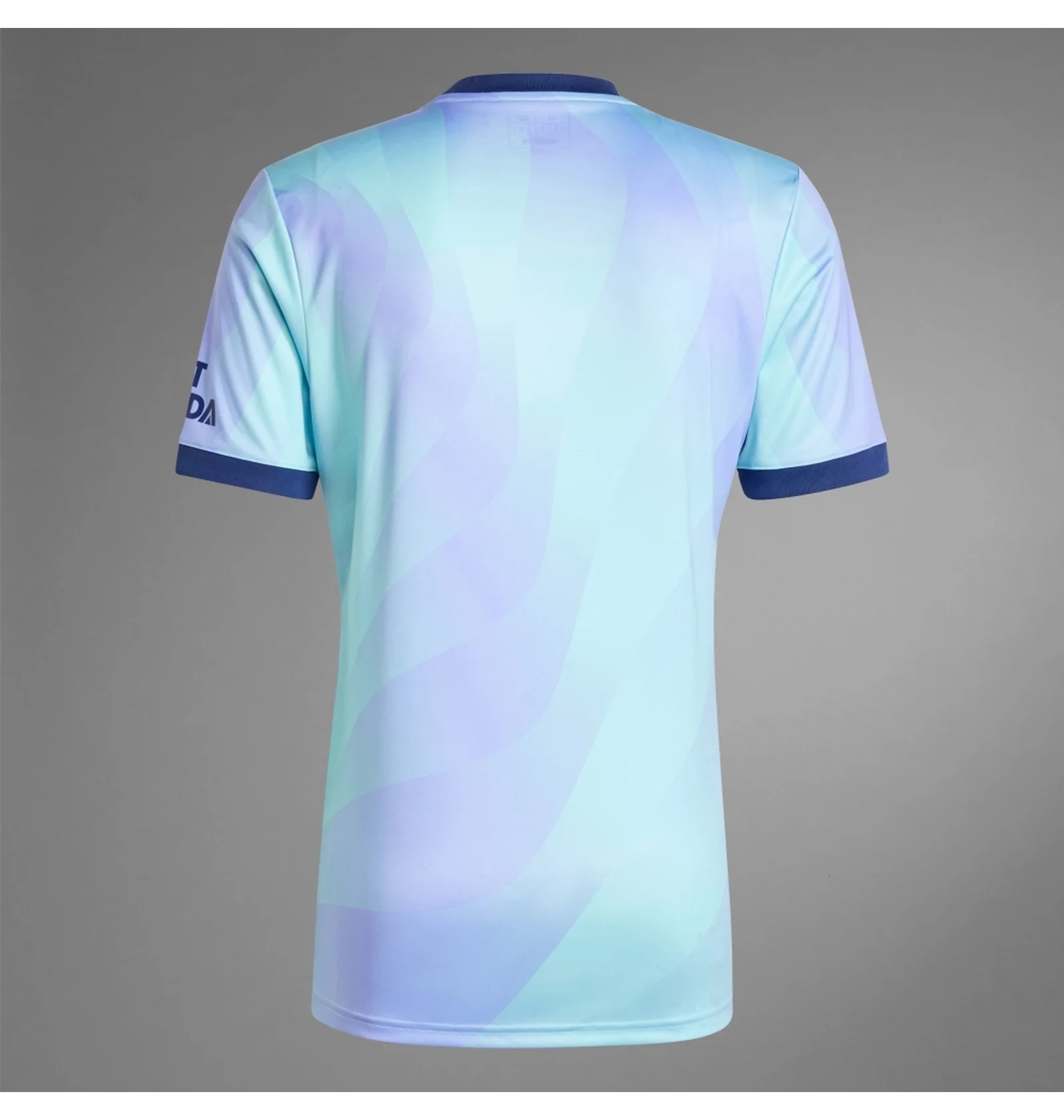 ᐉ Футболка мужская Adidas Arsenal 24/25 Third Jersey Light Blue