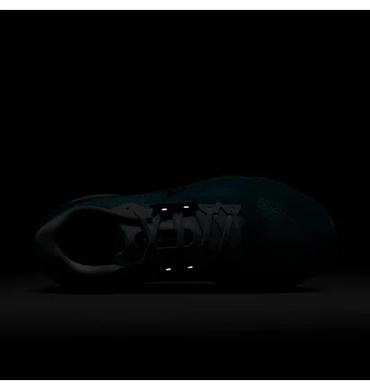Кросівки чоловічі Nike Air Zoom Vomero 17 Turquoise FN1139-301