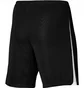 Шорты мужские Nike Shorts League Iii Knit Short Black DR0960-010