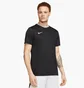 Футболка чоловіча Nike M Nk Dry Park Vii Jsy Ss Black Bv6708-010