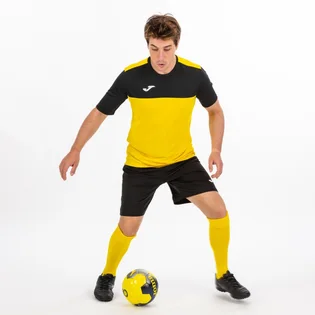 Футболка чоловіча Joma Winner Yellow 100946.901
