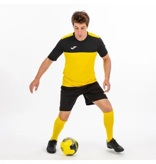 Футболка мужская Joma Winner Yellow 100946.901