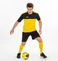 Футболка мужская Joma Winner Yellow 100946.901
