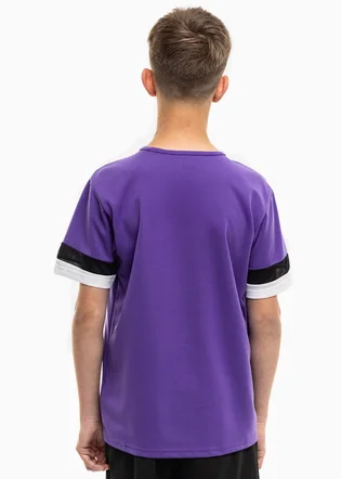 Футболка детская Puma Teamrise Jersey Violet 704938-10