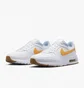 Кросівки чоловічі Nike Air Max Sc Shoes White FJ3997-100