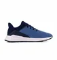 Кроссовки мужские Reebok Ever Road Dm Blue EG1222