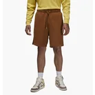 Шорти чоловічі Air Jordan Air Wordmark Brown FJ0700-281