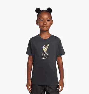 Футболка детская Nike Lfc Crest Grey HJ4060-070