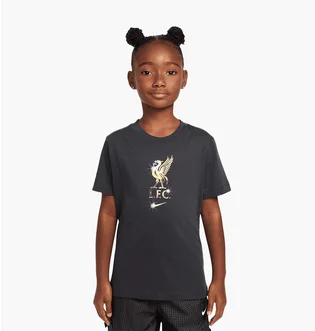 Футболка детская Nike Lfc Crest Grey HJ4060-070
