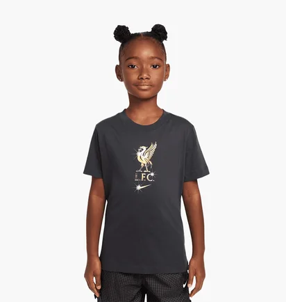 Футболка детская Nike Lfc Crest Grey HJ4060-070