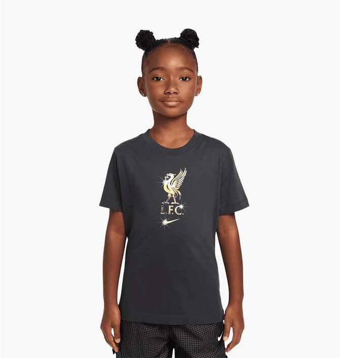 Футболка детская Nike Lfc Crest Grey HJ4060-070