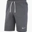 Шорты мужские Nike Park 20 Short Grey Cw6910-071